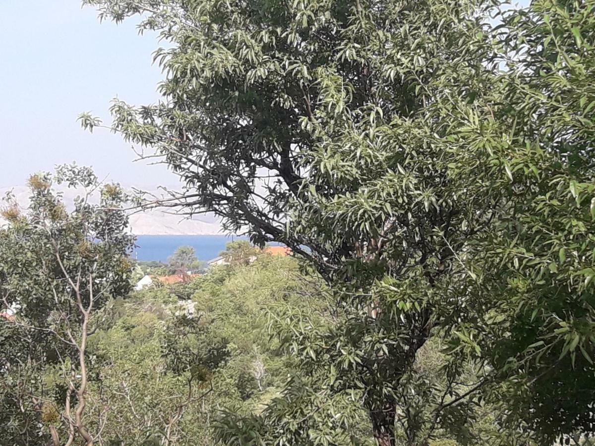 Apartment Tin Senj  Zewnętrze zdjęcie